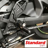 写真 Rearsets - Link International