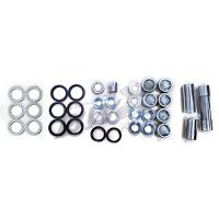 Link International Bearings