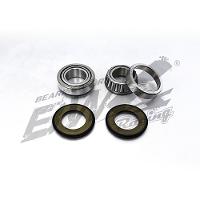 Link International Bearings