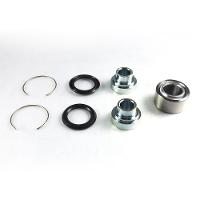 Link International Bearings