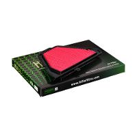 HiFlo Filtro Air Filters