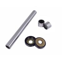 Link International Bearings