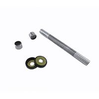 Link International Bearings