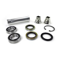 Link International Bearings