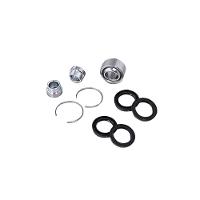 Link International Bearings