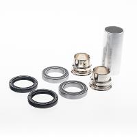 Link International Bearings