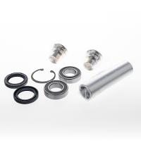 Link International Bearings