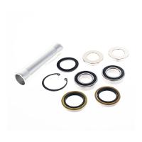 Link International Bearings