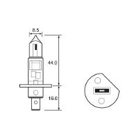 Link International Lighting