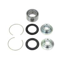 Link International Bearings
